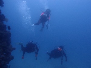 2013.05.03 砂辺ビーチ　海中