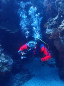 2013.05.06 慶良間ファンダイブ