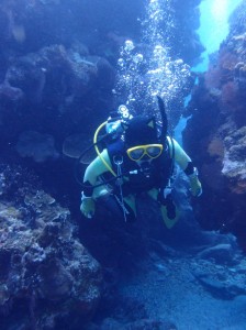 2013.05.06 慶良間ファンダイブ