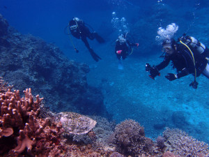 2013.06.07　慶良間ファンボート