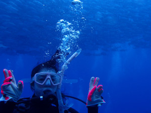 2013.06.08　粟国ボートファン