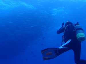 2013.06.08　粟国ボートファン