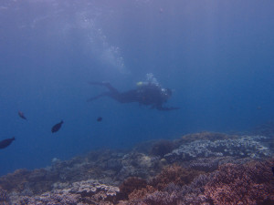 2013.06.09　砂辺　アドバンス講習