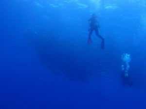 2013.06.15　粟国ボートファンダイビング