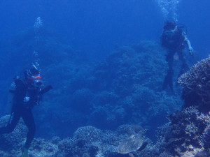 2013.07.01 慶良間ボートファン