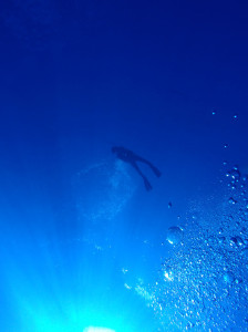 2013.08.03　渡名喜　ファンダイビング