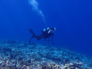 2013.08.01　慶良間ファンダイビング