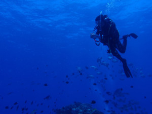 2013.08.02　慶良間