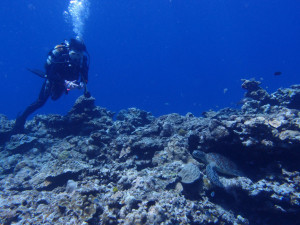 2013.08.02　慶良間