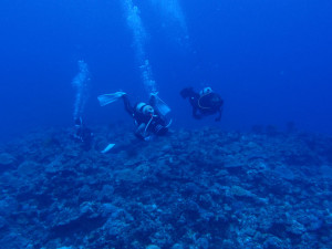2013.08.05 慶良間ボート　ファンダイビング