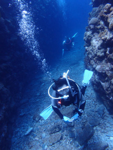 2013.08.05 慶良間ボート　ファンダイビング