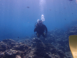 2013.08.08　真栄田岬　ファンダイビング