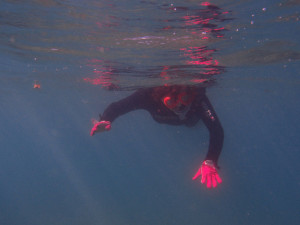 2013.09.05 奥武島 体験ダイビング