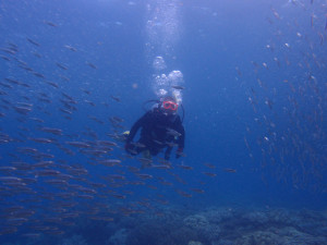 2013.09.08 砂辺 OWD海洋