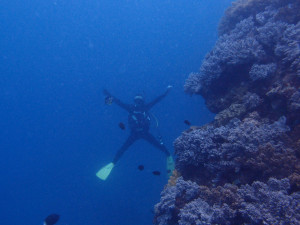 2013.11.01 砂辺ビーチ　ファンダイビング