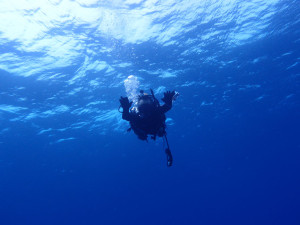 2013.11.03　渡名喜・入砂遠征　ファンダイビング