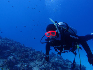 2014.03.16 大浦湾ボート　ファンダイビング