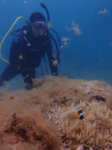 2014.03.21 奥武島ビーチ　ＡＯＷ講習