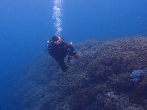 2014.04.01 砂辺ビーチ ファンダイビング