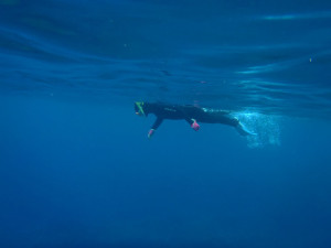 2014.04.25　砂辺ビーチ　体験ダイビング