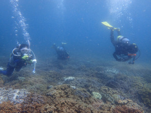 2014.07.04　砂辺ビーチ　ファンダイビング