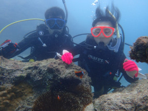 2014.08.02 奥武島ビーチ　体験ダイビング＆付き添いファンダイビング