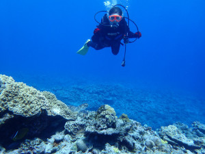 2014.08.03　チービシボート　ファンダイビング