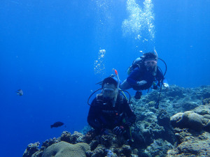 2014.09.20　真栄田岬ビーチ　ファンダイビング
