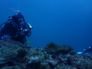 2014.09.07 砂辺ビーチ AOW講習&ファンダイビング