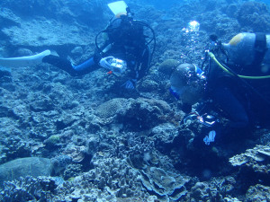 2014.09.15　慶良間ボート　ファンダイビング