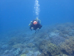 2014.09.02　砂辺ビーチ　ファンダイビング