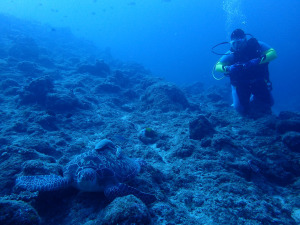 2014.09.09　万座ボート　ファンダイビング