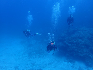 2014.09.13　慶良間ボート　ファンダイビング