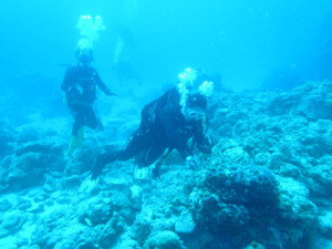 2014.09.14 チービシボート ファンダイビング