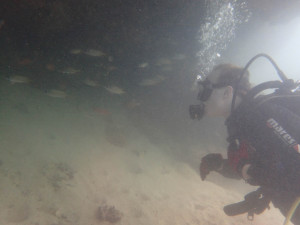 2014.10.15 奥武島ビーチ　ファンダイビング