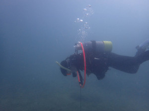 2014.10.07 奥武島ビーチ　AOWコース