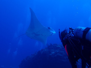 2014.10.01　慶良間ボート　ファンダイビング