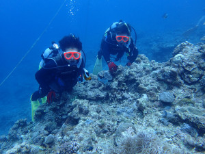 2015.04.04　真栄田岬ビーチ　ファンダイビング