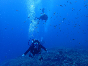 2015.04.10　慶良間ボート　ファンダイビング　