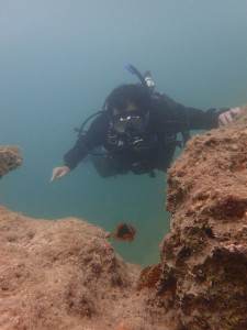 2015.04.13　奥武島ビーチ　ドライスーツ・ダイバーSPコース