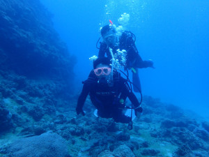 2015.04.18　南部ボート　ファンダイビング