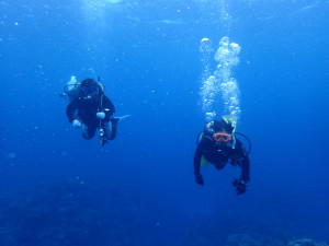 2015.04.12　慶良間ボート　ファンダイビング