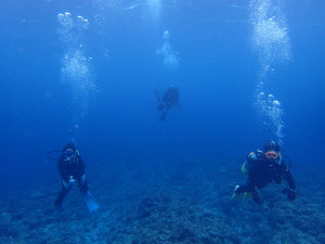 2015.04.12　慶良間ボート　ファンダイビング