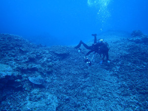 2015.04.12　慶良間ボート　ファンダイビング