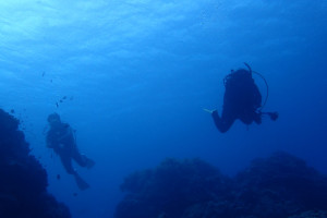 2015.08.07　砂辺ビーチ　ファンダイビング