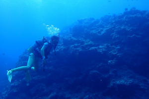 2015.08.10　万座ボート　ファンダイビング