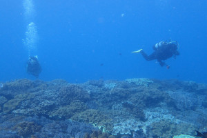 2015.08.07　砂辺ビーチ　ファンダイビング