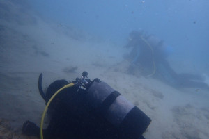 2015.08.08 奥武島ビーチ　ファンダイビング