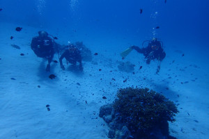 2015.09.18　慶良間ボート　ファンダイビング