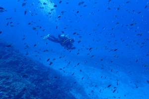 2015.09.19 慶良間ボート　ファンダイビング